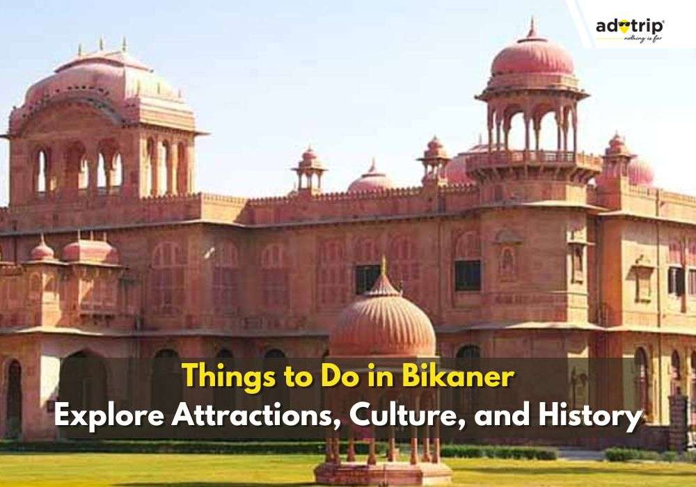 Things To Do In Bikaner